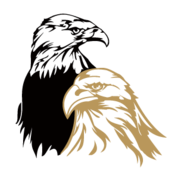 TwinEagles logo